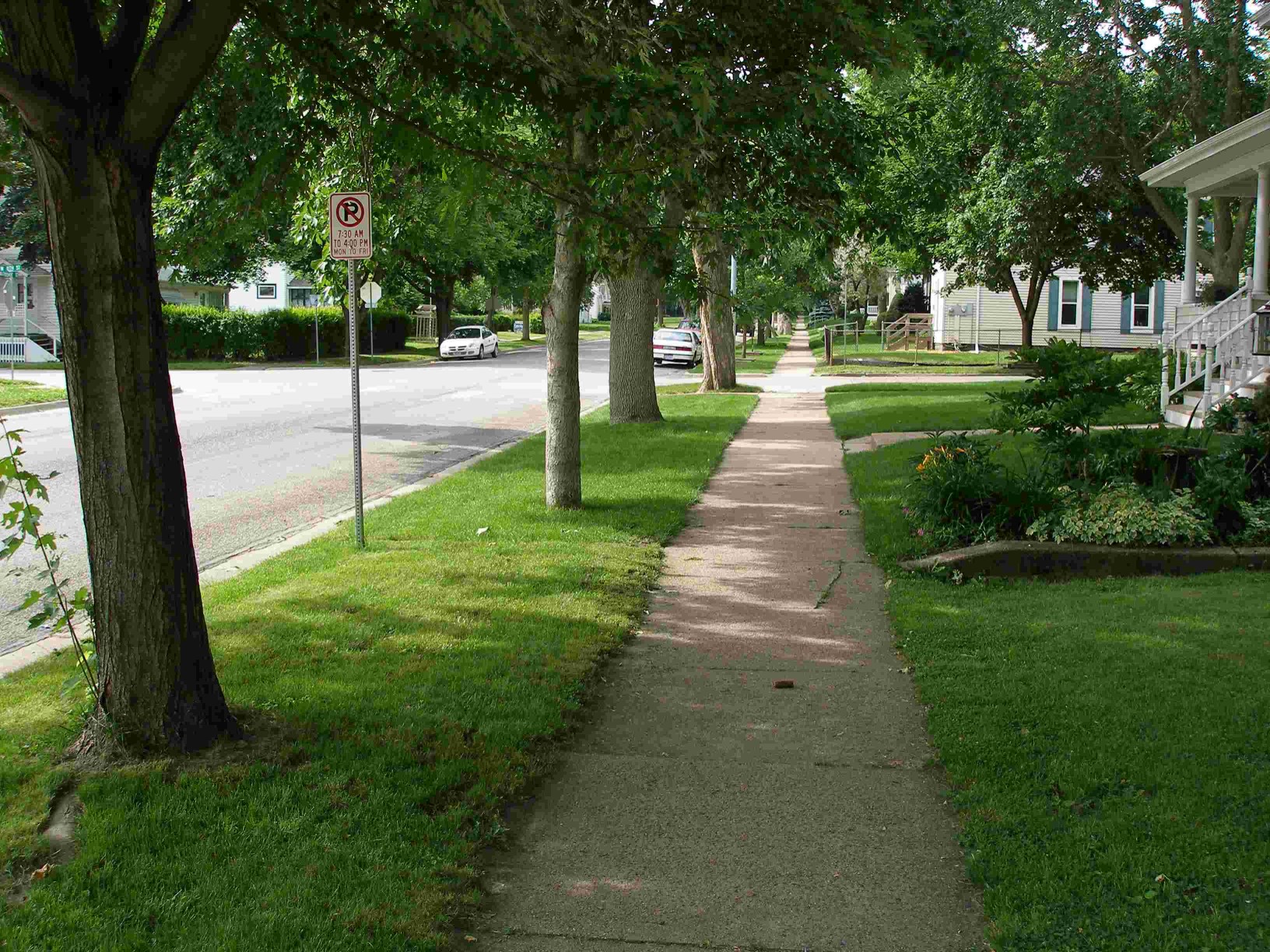 Neighborhood with trees